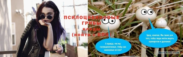 мдпв Зеленокумск