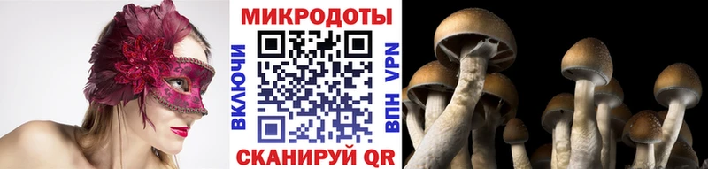 Галлюциногенные грибы Psilocybe  купить наркотики сайты  Новый Уренгой 